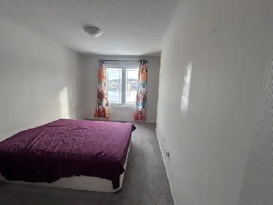 Large Room for rent (Barrie South - Mapleview & Essa)