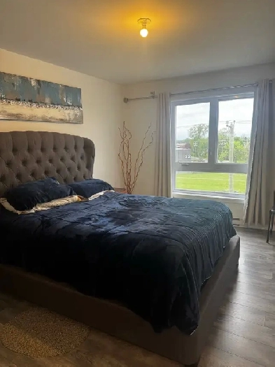 chambre à louer