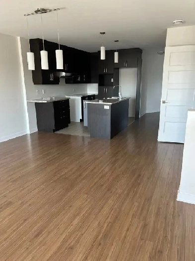 Condo 4 1/2 Salaberry (Entrepot Inclus)