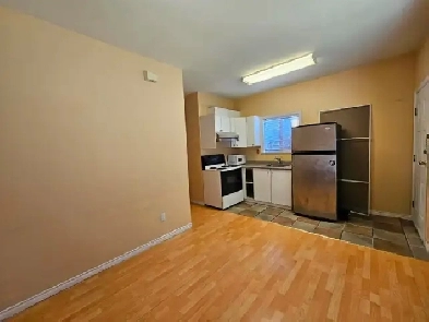 Bright & Spacious 2-Bedroom Suite for Rent! (Metrotown Area)