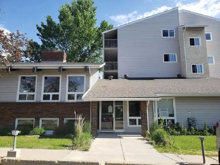 PET FRIENDLY WEST END APARTMENT