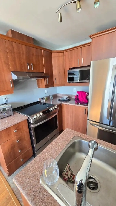 Condo, 3 1/2 Saint-Hubert, libre 1er juillet 2026, Air climatisé