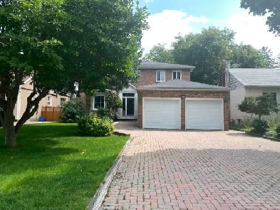 Yonge/Steels 2 Bedroom Basement Apartment for Lease