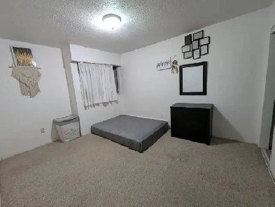 Spacious room for Female available