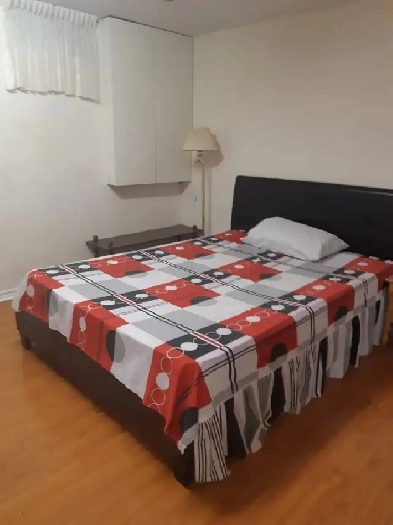 Basement for rent