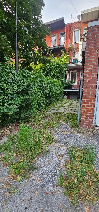 Logement Préfontaine Hochelaga 6 1/2 (3 chambres)