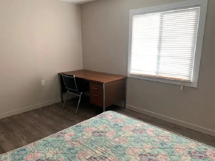 Room for rent