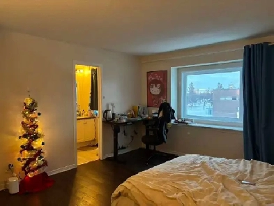 Room For Rent - 8 minute walk from Algonquin College