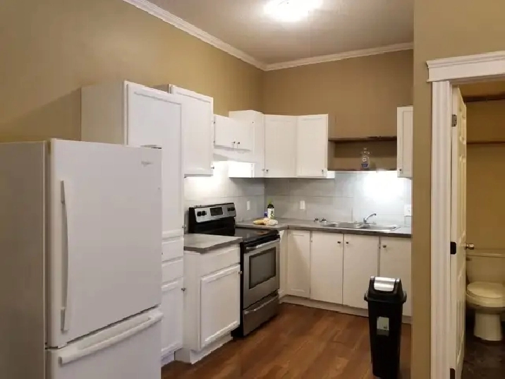 Available July 1 - 1 Bedroom apartment in Minto NB