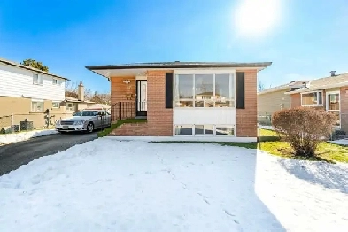 Detached 3 Bedroom 1 Washroom Home For Lease in Brampton