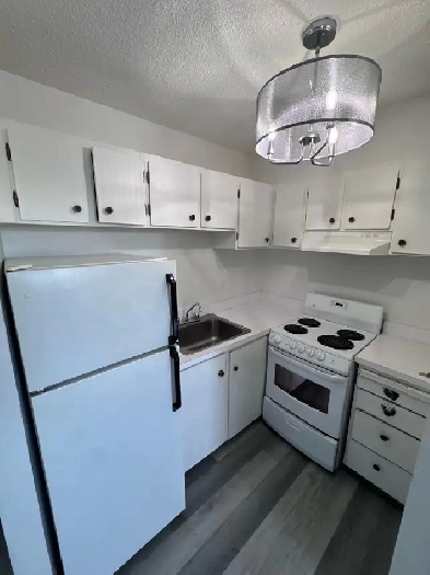 Studio suite in Brevoort Park