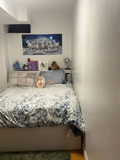 Basement room  for rent, steps to Seneca@york $800.