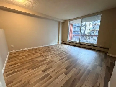 1 bed 1 bath apartment high rise with elevator