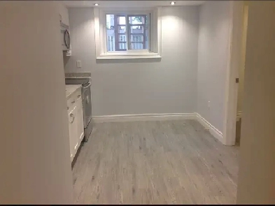 Leslieville Renovated 1 Bedroom Basement Apartment