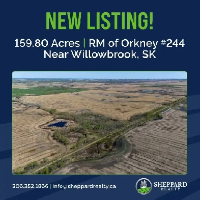 Productive Farmland | RM of Orkney # 244 | Near Willowbrook, SK