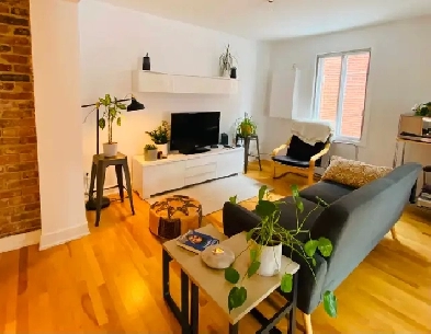 Grand 4 1/2  Ahuntsic - RDC Avec Cour
