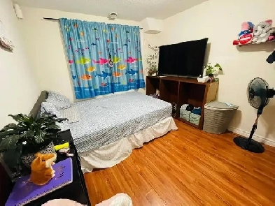 Room for rent