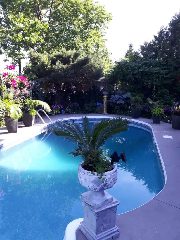 Queen size   private clean quiet room in exe  home  traf upmid
