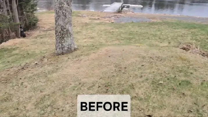 Property Cleanup Before Selling — Get More Value, Free Quote