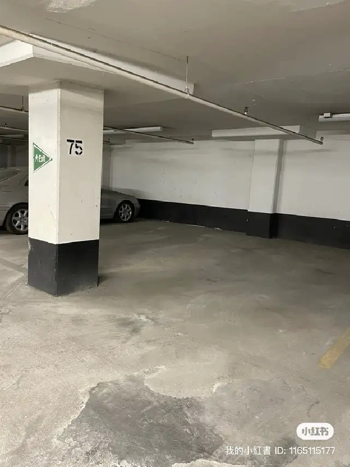 Chinatown center: A parking spot to rent