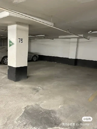 Chinatown center: A parking spot to rent