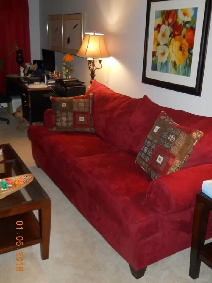 Photo 7