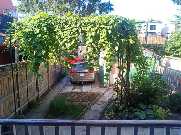 Big, 1Brm  balcony  backyard - July 1st