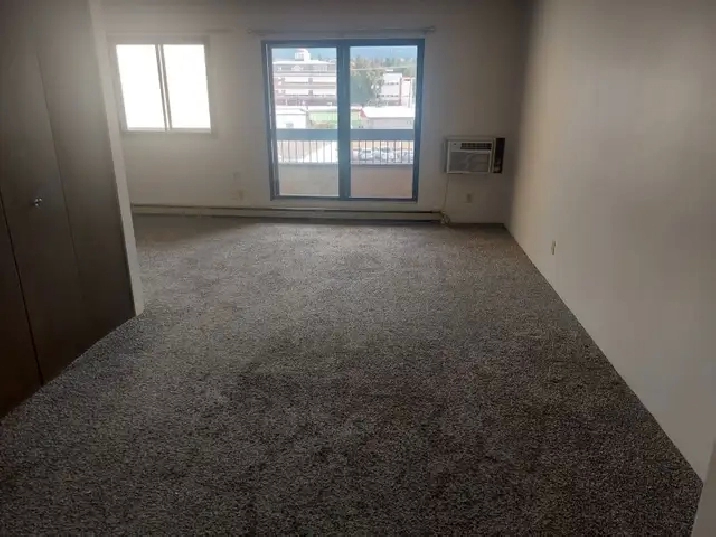 Senior Bachelor Suite 50