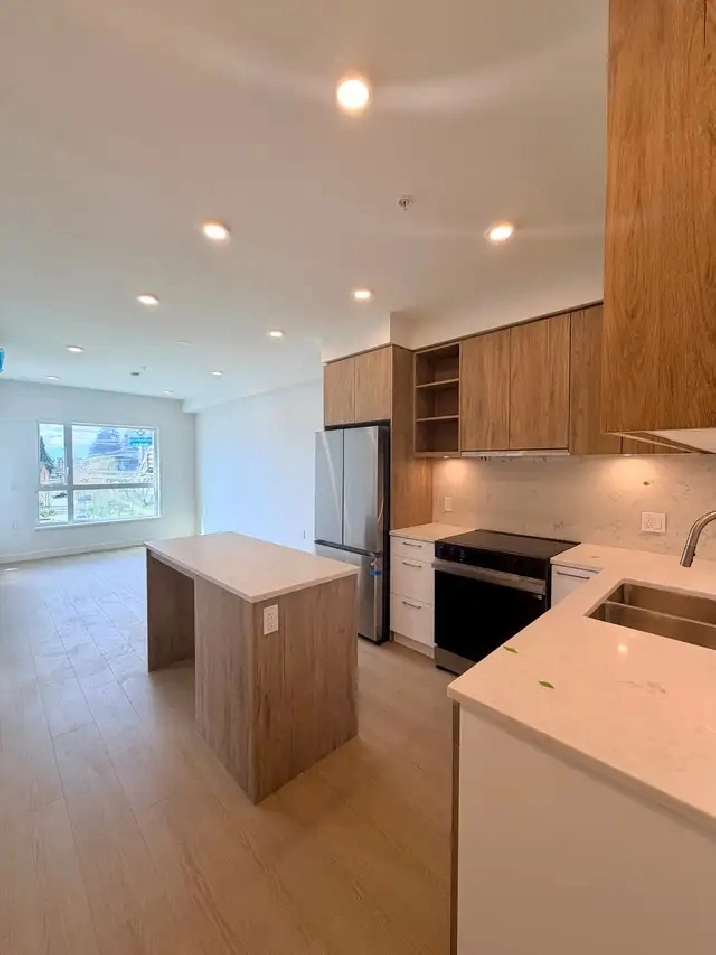 1 bed 1 bath in New West BRAND NEW
