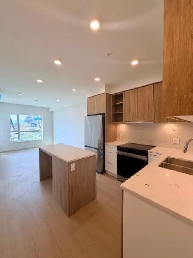 1 bed 1 bath in New West BRAND NEW