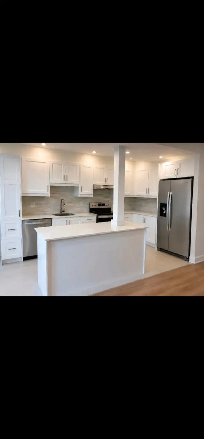 NEWLY RENOVATED 1 BEDROOM APARTMENT - LASALLE
