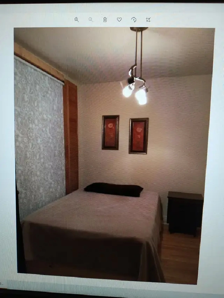 chambre en colocation