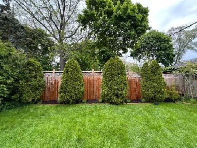 High Park Spacious Apartment With Yard