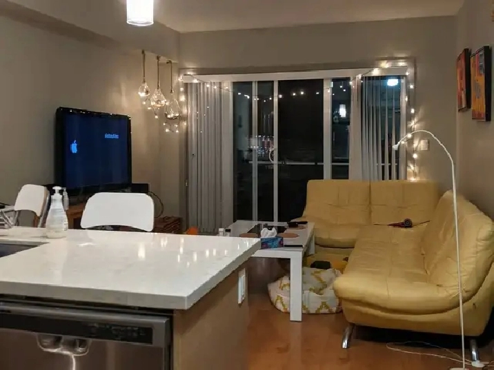 $1,500 / 2br - 900ft2 - Pet-friendly 2B2B Metrotown Condo