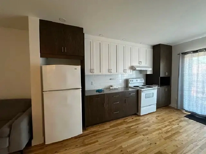 Appartement 3 1/2 à louer Quartier Rosemont