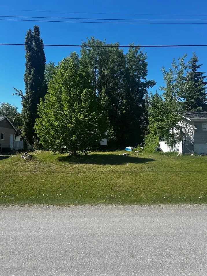 lot for sale in Vanderhoof