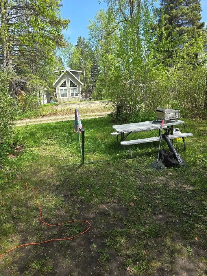 Photo 5