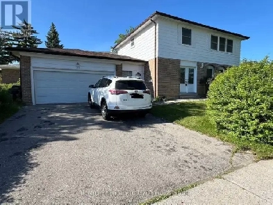 One living room and two bedrooms for Lease