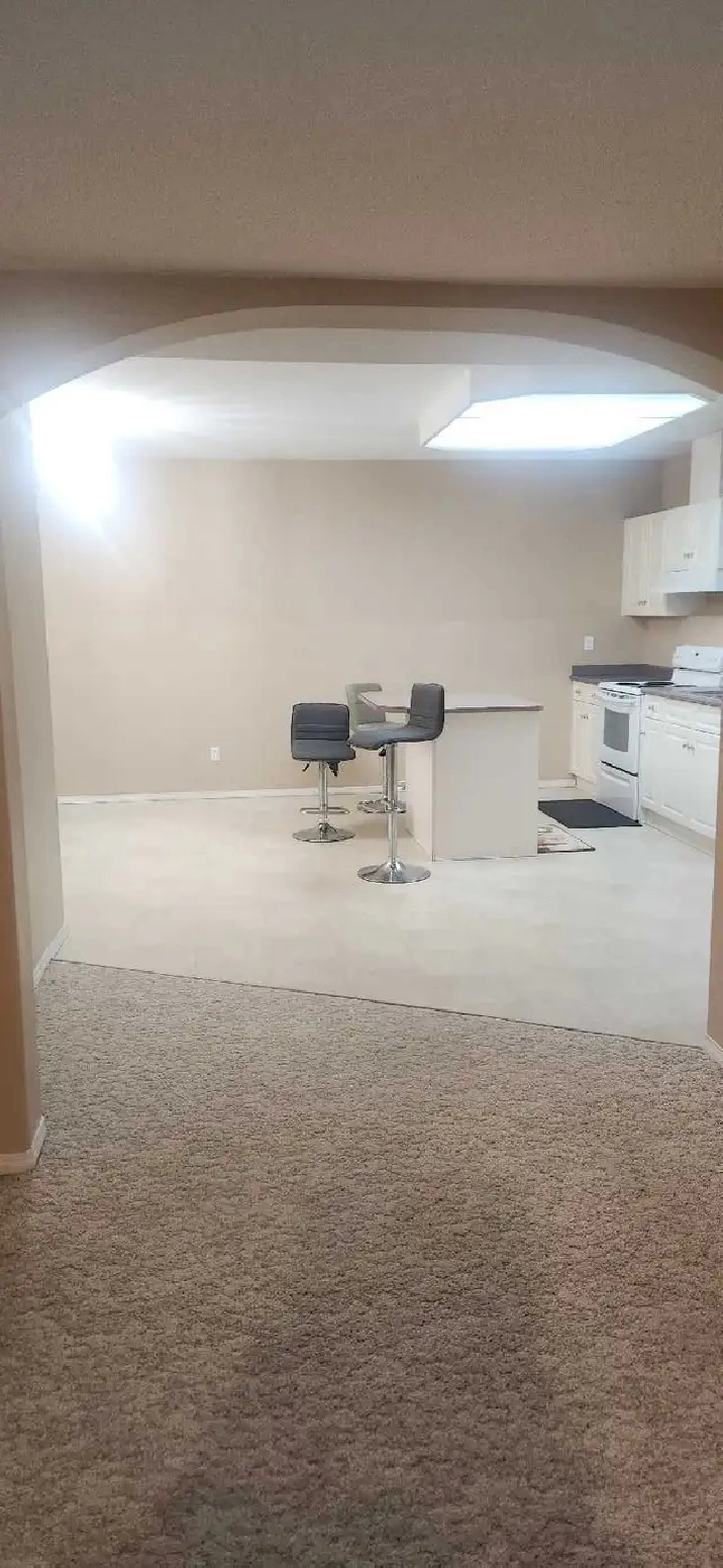 basement suite for rent