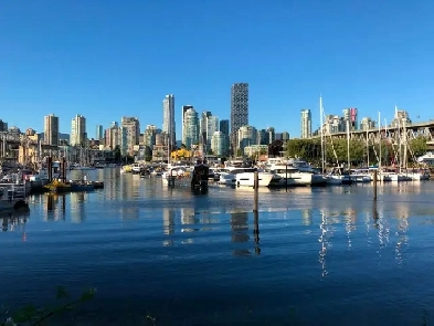 False Creek Waterfront Living – Executive 2 Bed, 2 Bath Garden