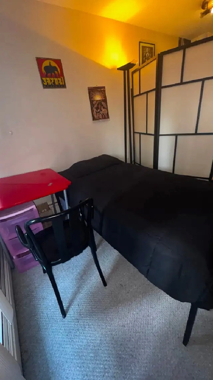 Female Roommate Wanted-Downtown Vancouver