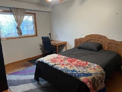 Room For Rent Near Centennial College and UTSC