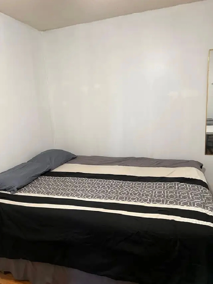 Rooms For Rent Close To Centennial College and UTSC