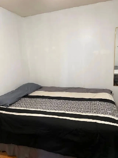 Rooms For Rent Close To Centennial College and UTSC