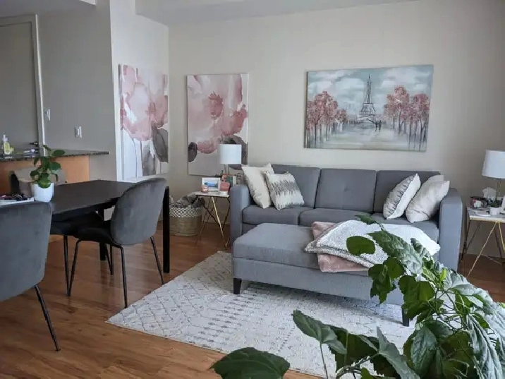 1 bedroom 1 bath furnished move-in ready condo for July 1 2024!
