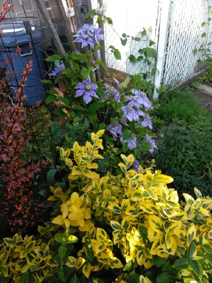 Photo 10