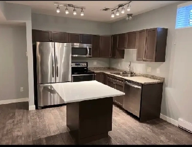 New Large Open Concept One King Size Bedroom
