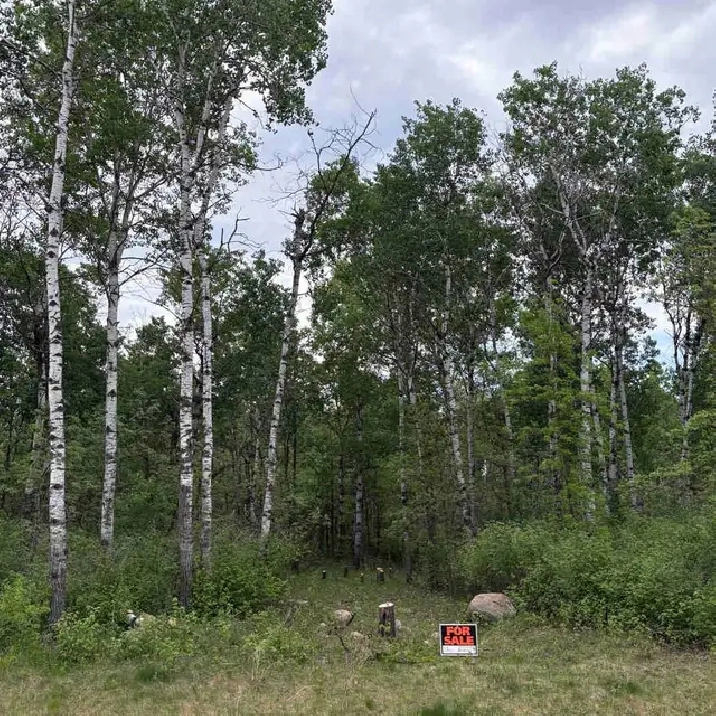 2 Acre Lot For Sale