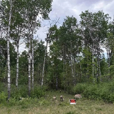 2 Acre Lot For Sale