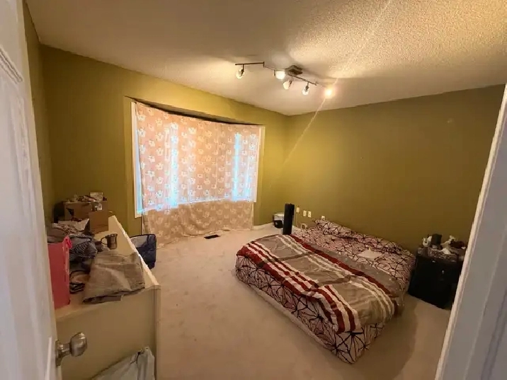 Bright & Spacious Bedroom for Rent – Available August 1